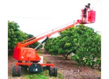 果園采摘車 閱讀次數：802